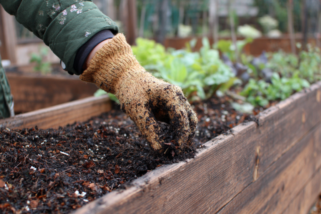 improve garden soil without chemicals